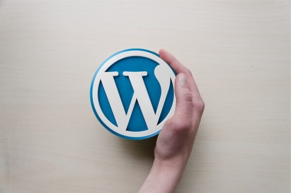 How To Create A Profitable eCommerce Store With WordPress - Image 2