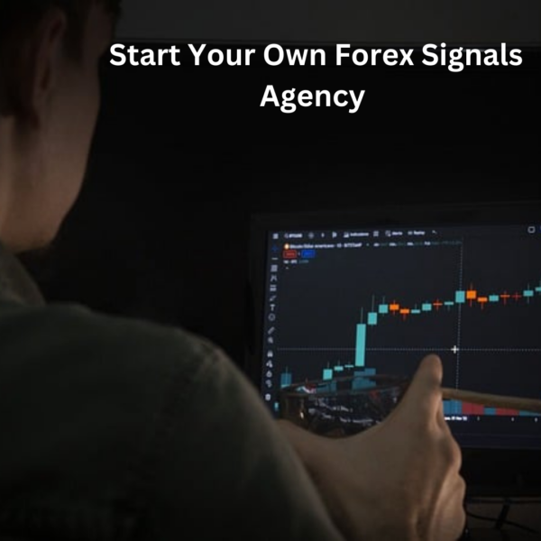Start Your Own Forex Signals Agency